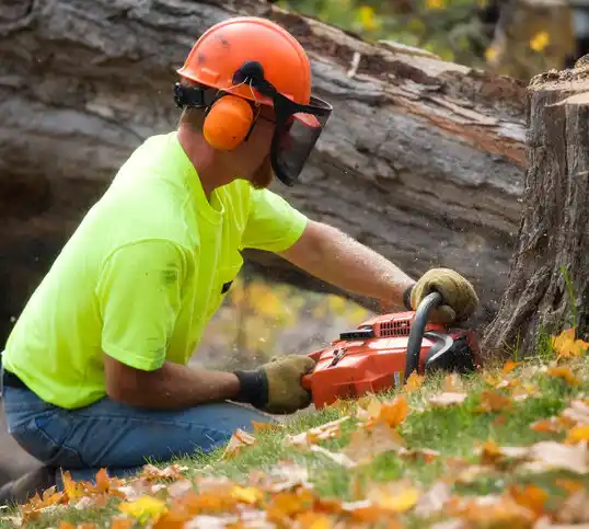 tree services Simsboro